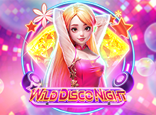 Wild Disco Night