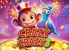 Crazy Crazy 3