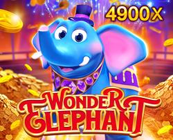 Wonder Elephant